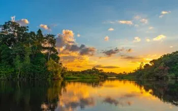 Amazonas Regenwald Sonnenuntergang