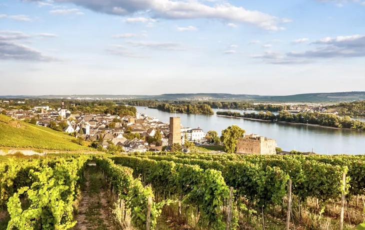 Rüdesheim - © Getty Images/iStockphoto