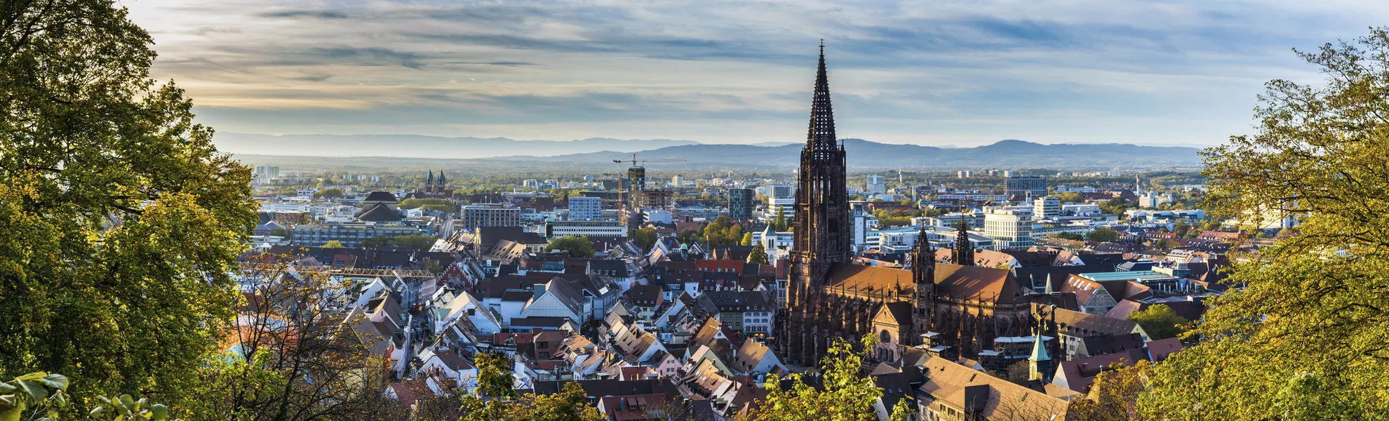 Germany, XXL panorama of city freiburg im breisgau skyline with  - © Simon - stock.adobe.com