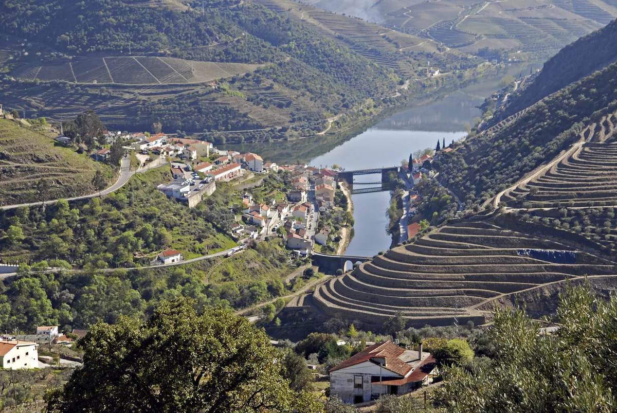 Douro-Tal bei Pinhão - © shutterstock_28515997