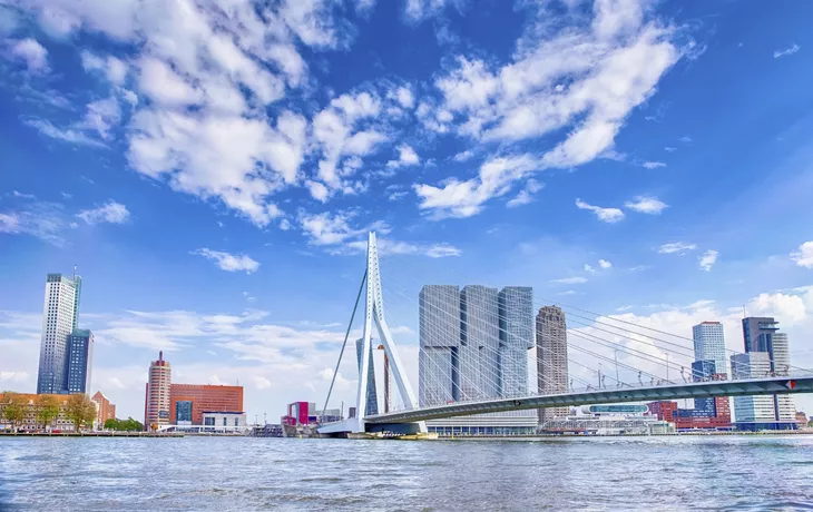 © Copyright (c) 2019 Dmitry Morgan/Shutterstock.  No use without permission. - Erasmus-Brücke, Rotterdam