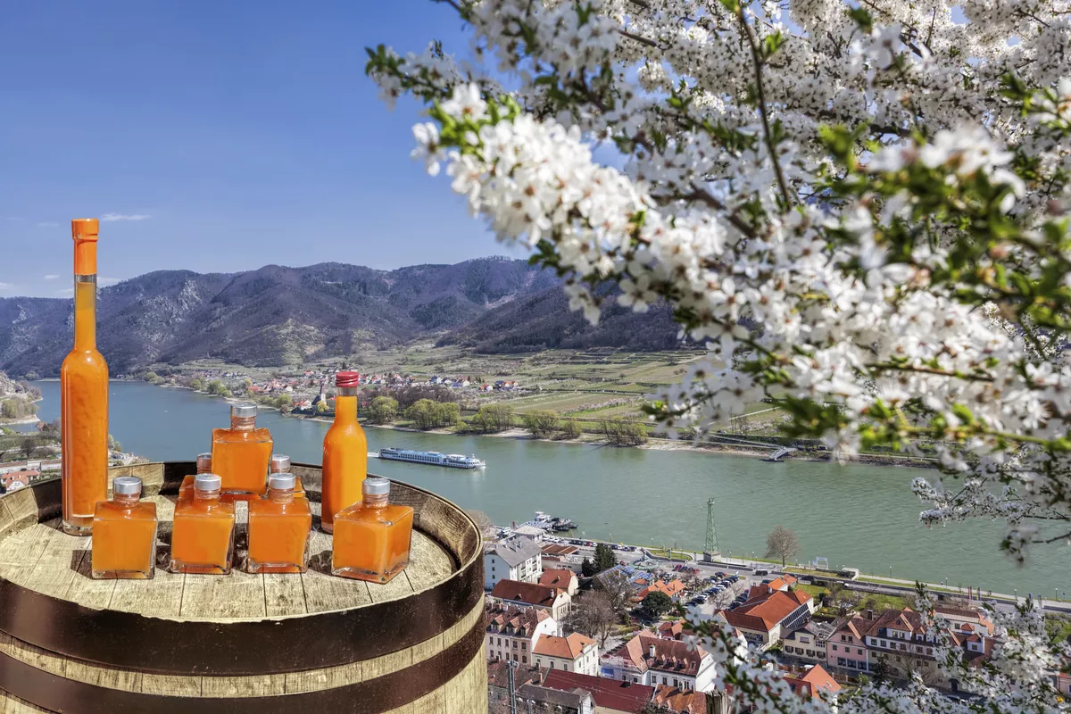Apricots drinks on barrel against Spitz village with boat on Danube river, Austria - © Tomas Marek - stock.adobe.com