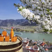 Apricots drinks on barrel against Spitz village with boat on Danube river, Austria