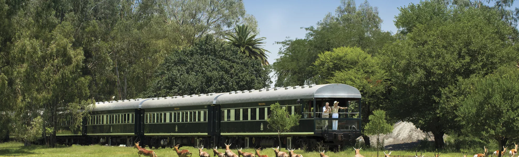 Safari auf Schienen - © Rovos Rail Tours