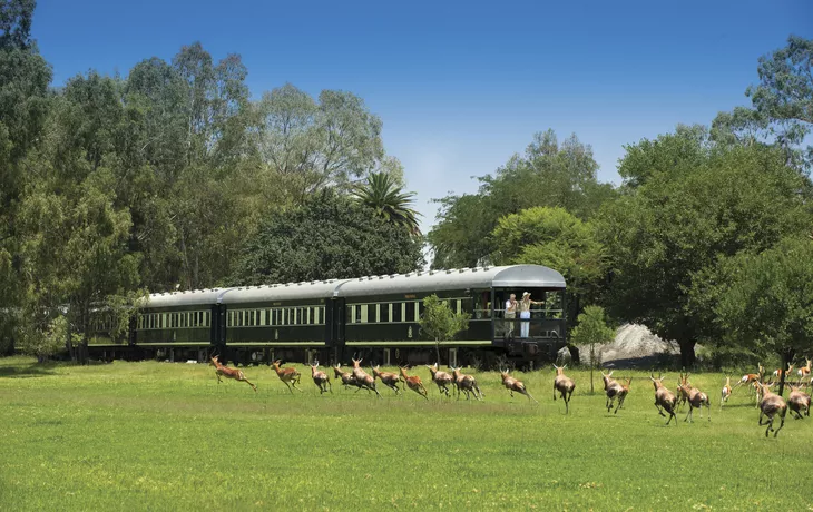 © Rovos Rail Tours - Safari auf Schienen