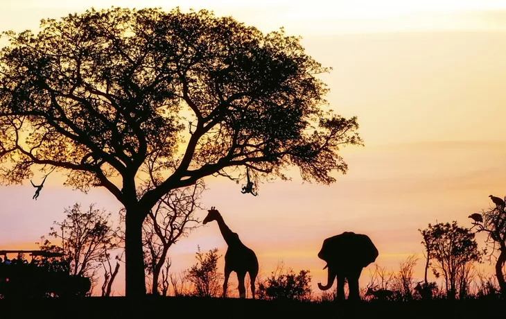 © Getty Images/iStockphoto - African Safari