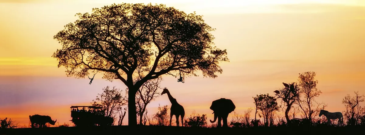 African Safari - © Getty Images/iStockphoto