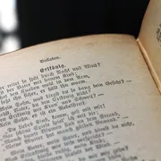 «Der Erlkönig», Gedicht von Goethe