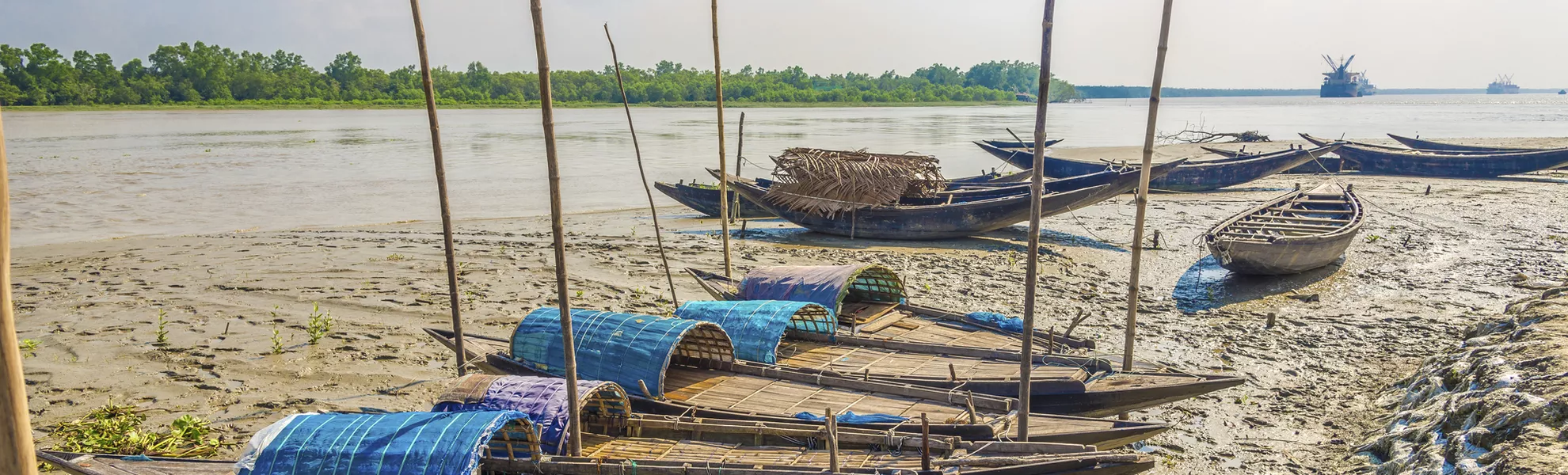 Sundarbans - © milosk50 - stock.adobe.com