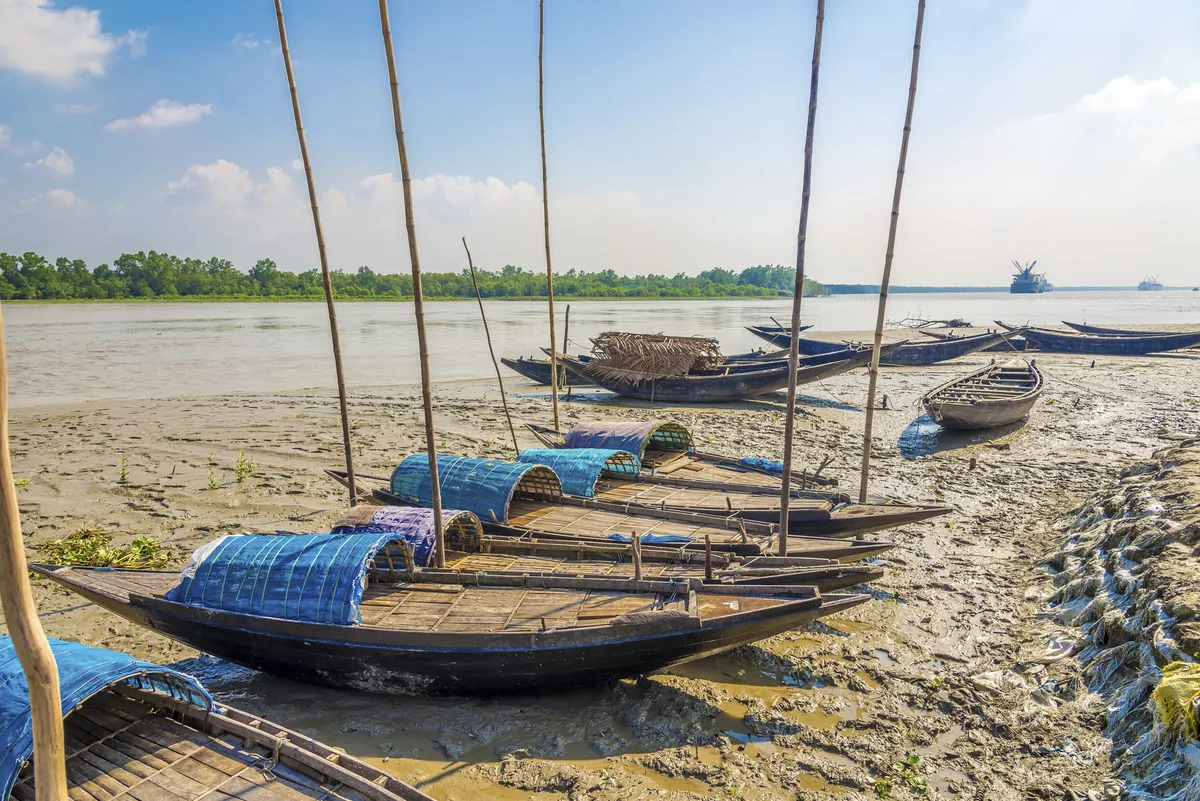 Sundarbans - © milosk50 - stock.adobe.com