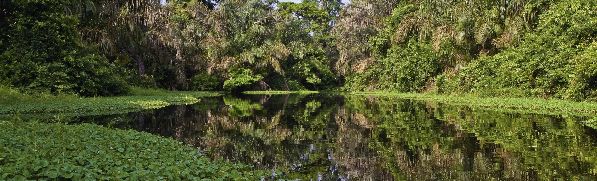 Amazonas - © pwollinga - Fotolia