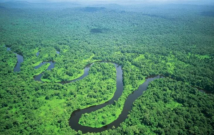 Amazonas Regenwald