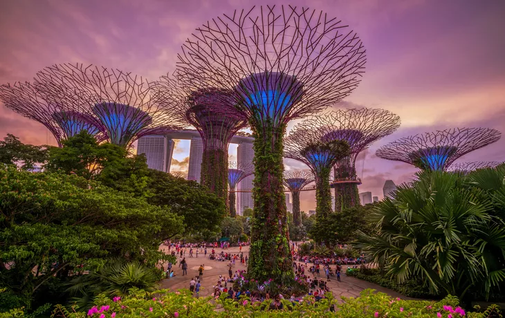 © Richie Chan - stock.adobe.com - Gardens by the Bay in Singapur