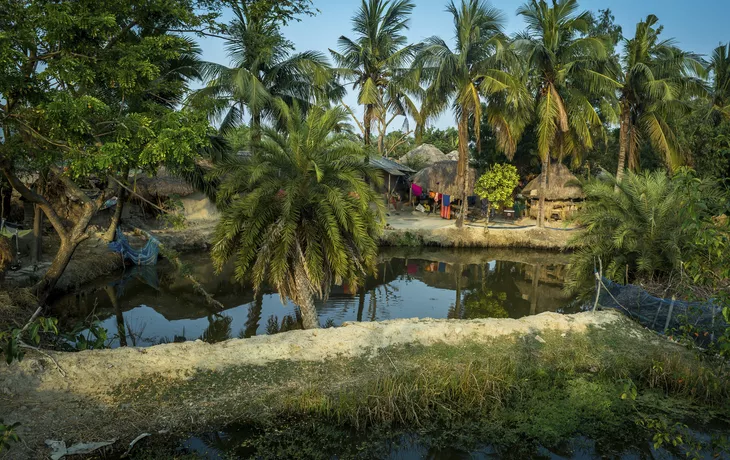 © ©niladri - stock.adobe.com - Sundarban