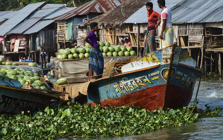 Mit RV Ganga Vilas durch die unendlichen Weiten der Sundarbans