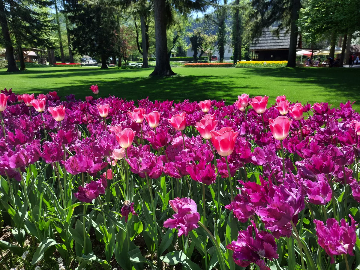 Mozirski gaj, Park der Blumen, in Slowenien - © olenadesign - stock.adobe.com