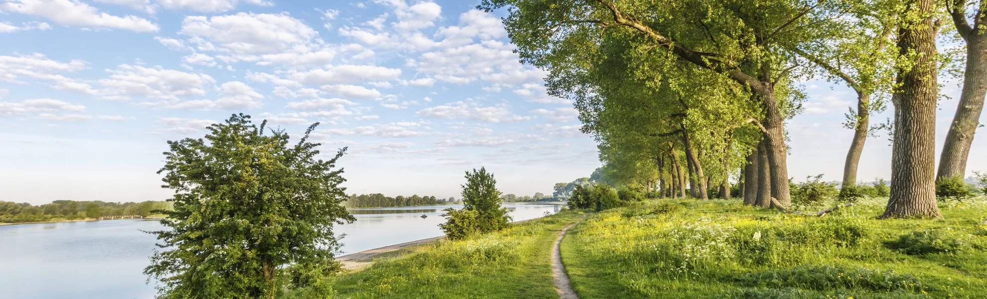 Naturschutzgebiet bei Nijmegen, Ooijpolder - © Copyright (c) 2017 Photodigitaal.nl/Shutterstock.  No use without permission.