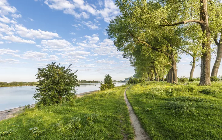 Naturschutzgebiet bei Nijmegen, Ooijpolder - © Copyright (c) 2017 Photodigitaal.nl/Shutterstock.  No use without permission.