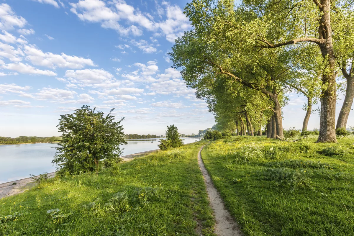 Naturschutzgebiet bei Nijmegen, Ooijpolder - © Copyright (c) 2017 Photodigitaal.nl/Shutterstock.  No use without permission.