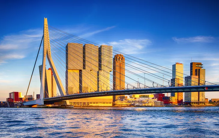 © danmorgan12 - stock.adobe.com - Erasmusbrücke in Rotterdam in den Niederlanden