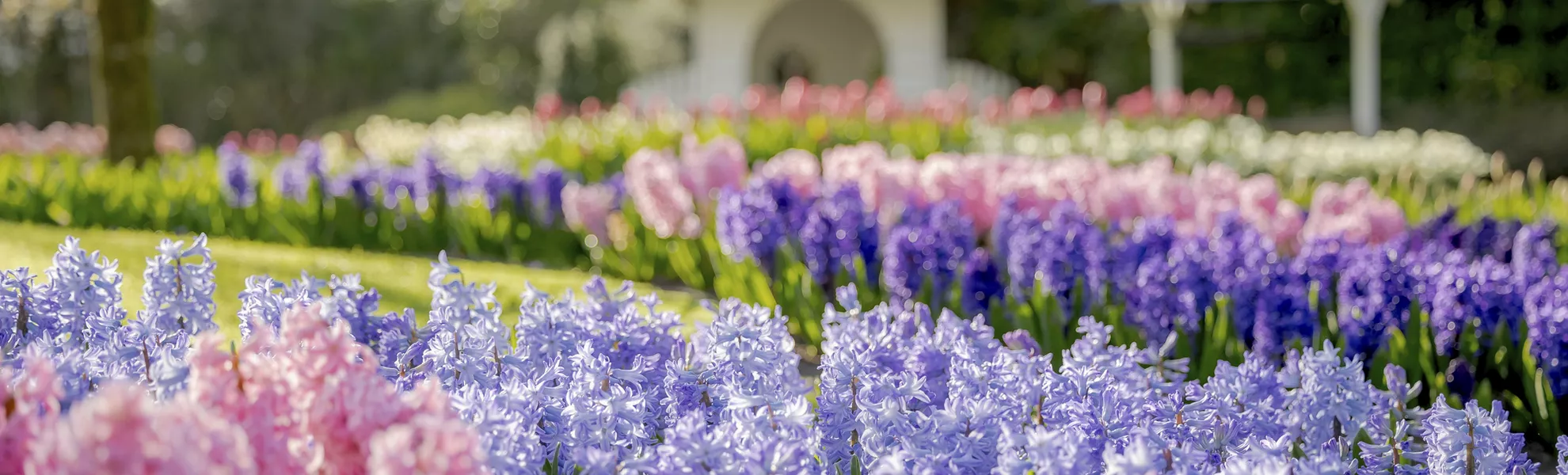 Keukenhof - © 