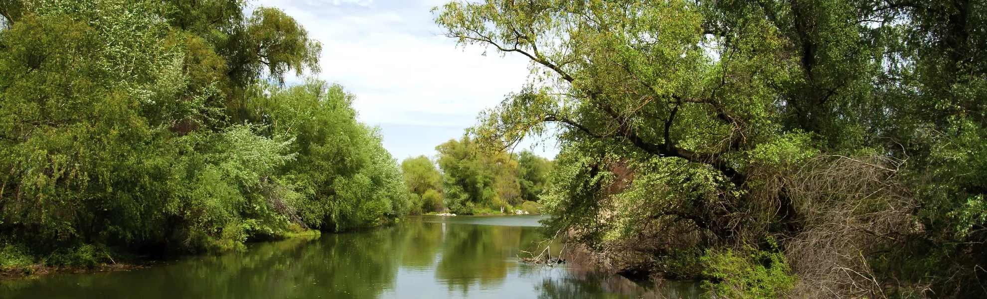 Wasserlandschaft im Donaudelta - © shutterstock_94237378