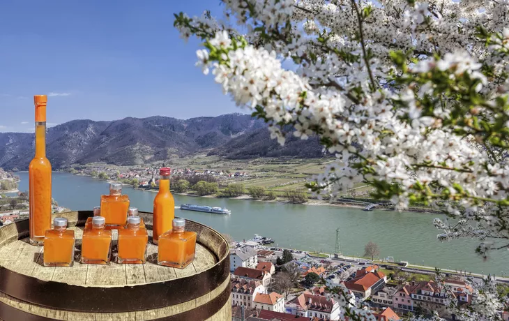 © Tomas Marek - stock.adobe.com - Marillenlikör, Wachau