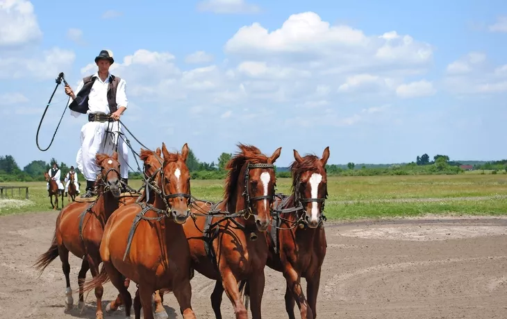 Traditionelle Reitvorführung, Puszta - © DH - Fotolia