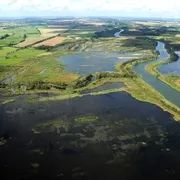 der Amazonas des Nordens: die Peene bei Anklam in Mecklenburg-Vorpommern