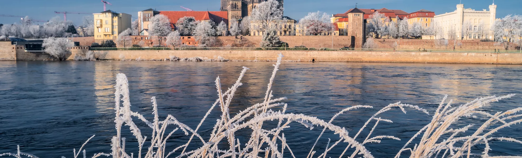 winterliches Magdeburg - © neurobite - stock.adobe.com