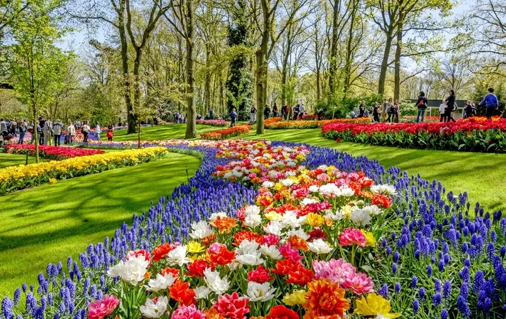 Keukenhof in den Niederlanden