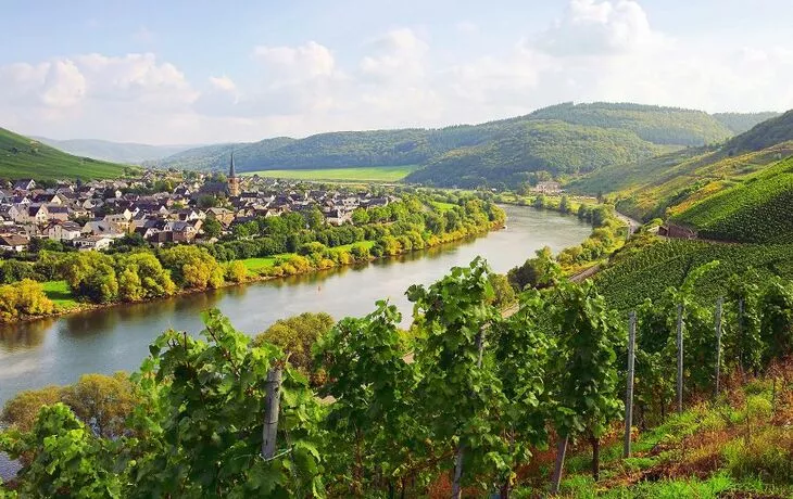 Lidl Luxuriöse Rhein-Kreuzfahrt mit MS Edelweiss