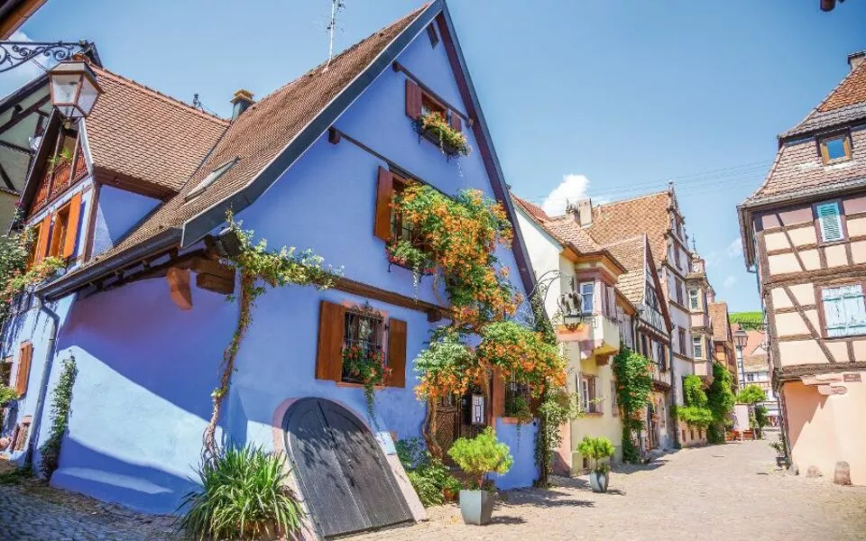 traditionellen elsässischen Häuser in Riquewihr - © Pierre Violet - Fotolia