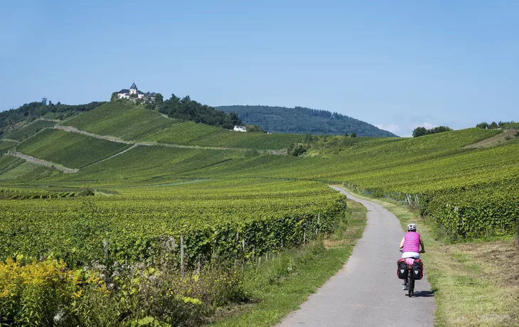 © Udo Weber - stock.adobe.com - Moselradweg in den Weinbergen