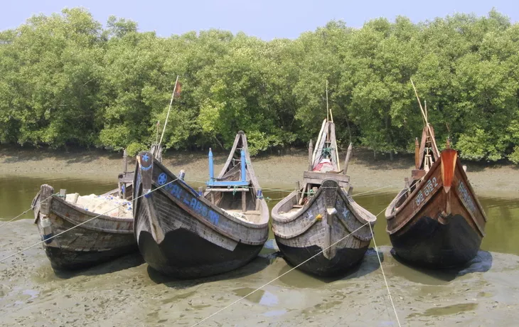 Fischerboote, Sundarbans - © 