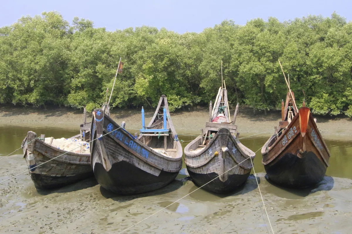 Fischerboote, Sundarbans - © 