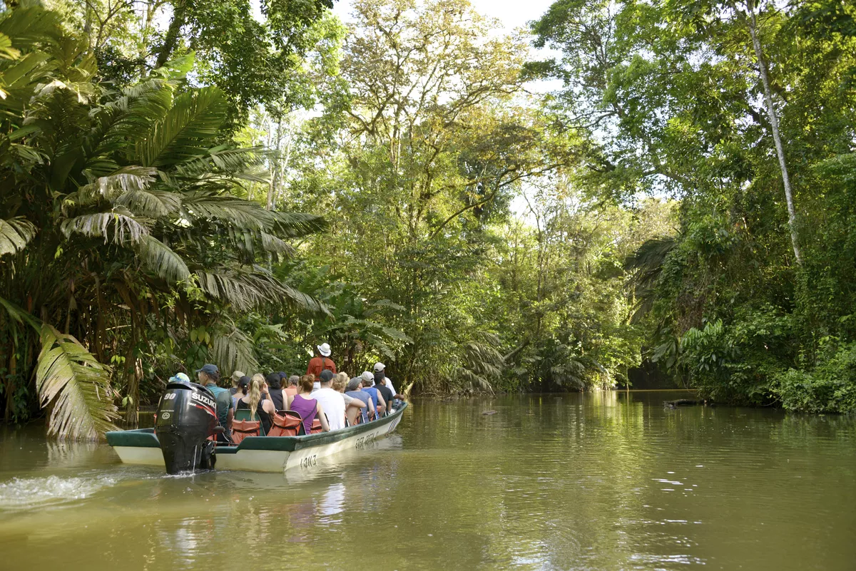 Tortuguero - ©                                                       