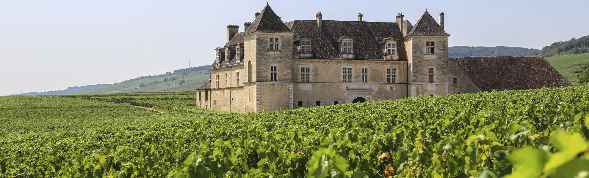 Schloss «Clos de Vougeot» - © blickwinkel2511 - stock.adobe.com