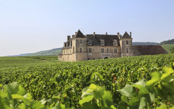 © blickwinkel2511 - stock.adobe.com - Schloss «Clos de Vougeot»