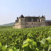 Schloss «Clos de Vougeot»