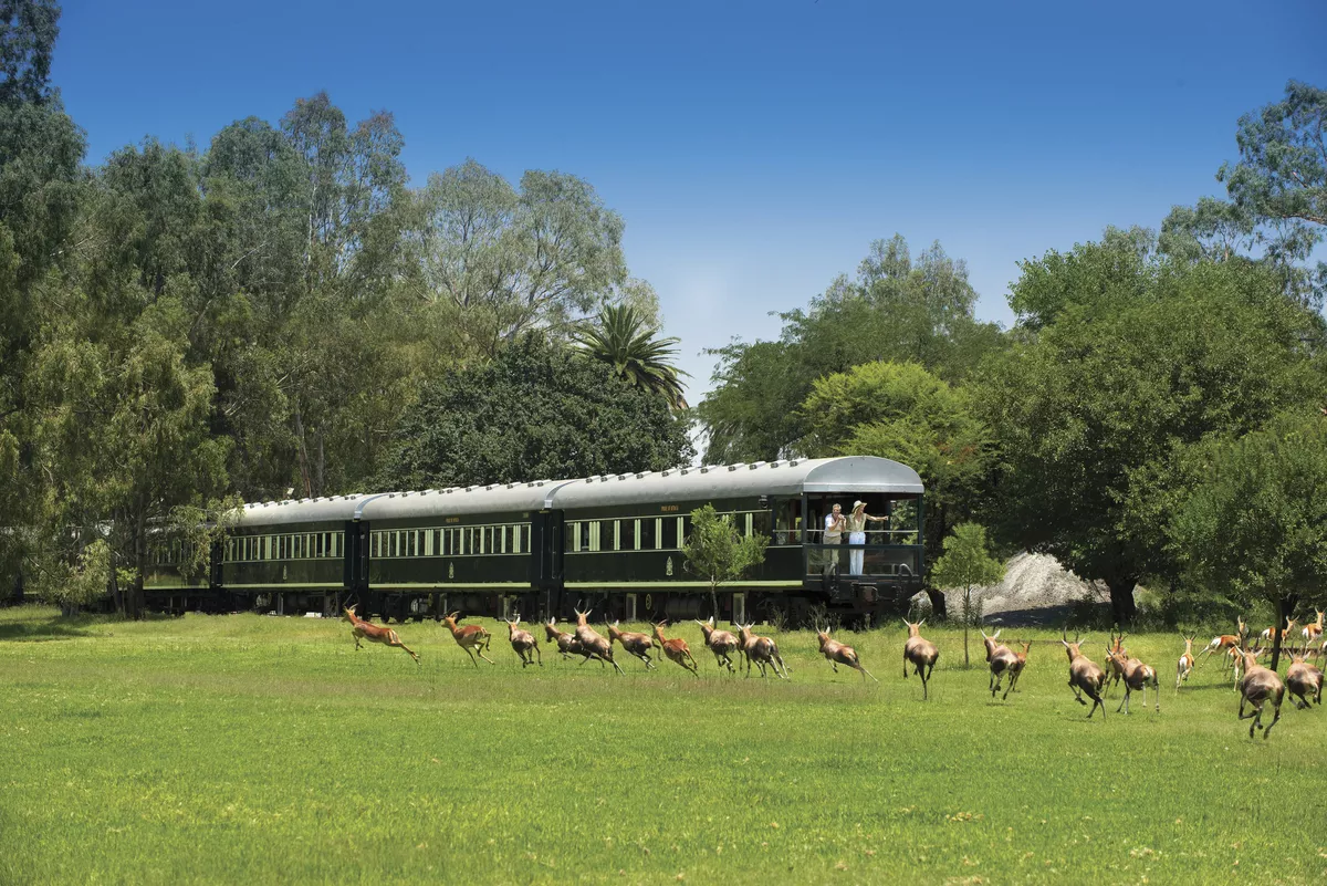 Safari auf Schienen - © Rovos Rail Tours