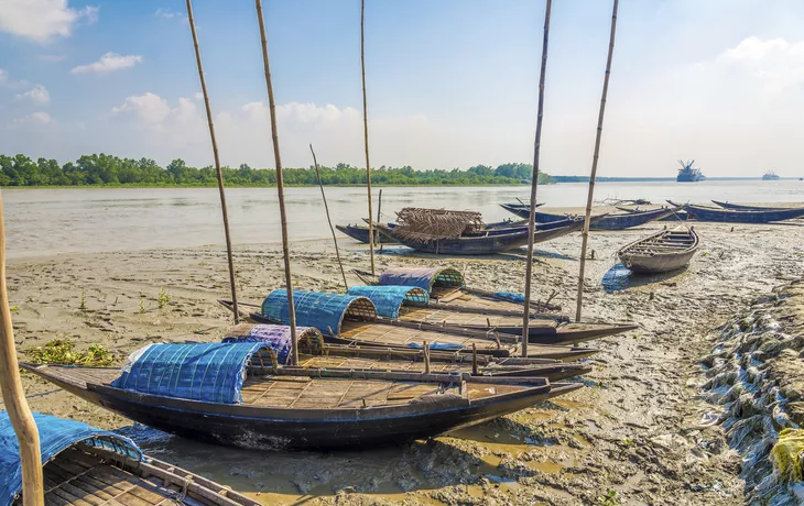 © milosk50 - stock.adobe.com - Sundarbans