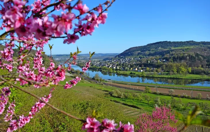 Wasserbilligerbrück an der Mosel - © Heinz&Brummel - stock.adobe.com