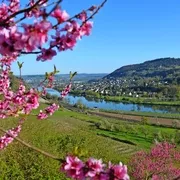 Wasserbilligerbrück an der Mosel