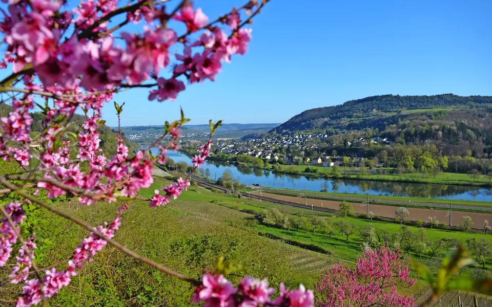 Wasserbilligerbrück an der Mosel