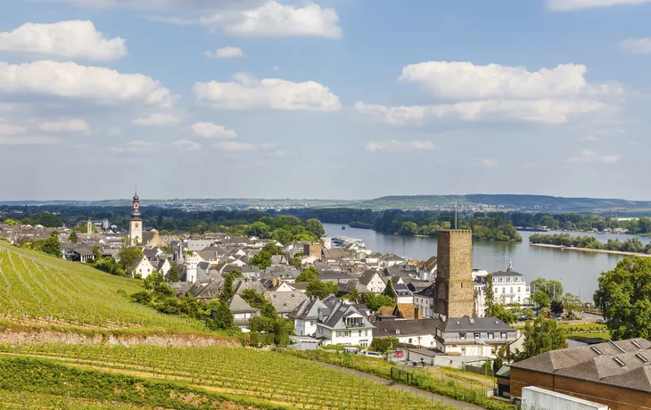 Rüdesheim - © Branko Srot - stock.adobe.com