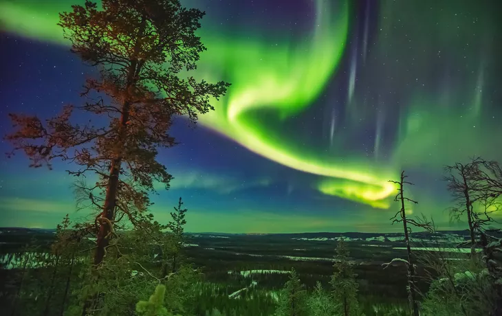 Polarlichter über Lappland - © widewingsstudio - stock.adobe.co