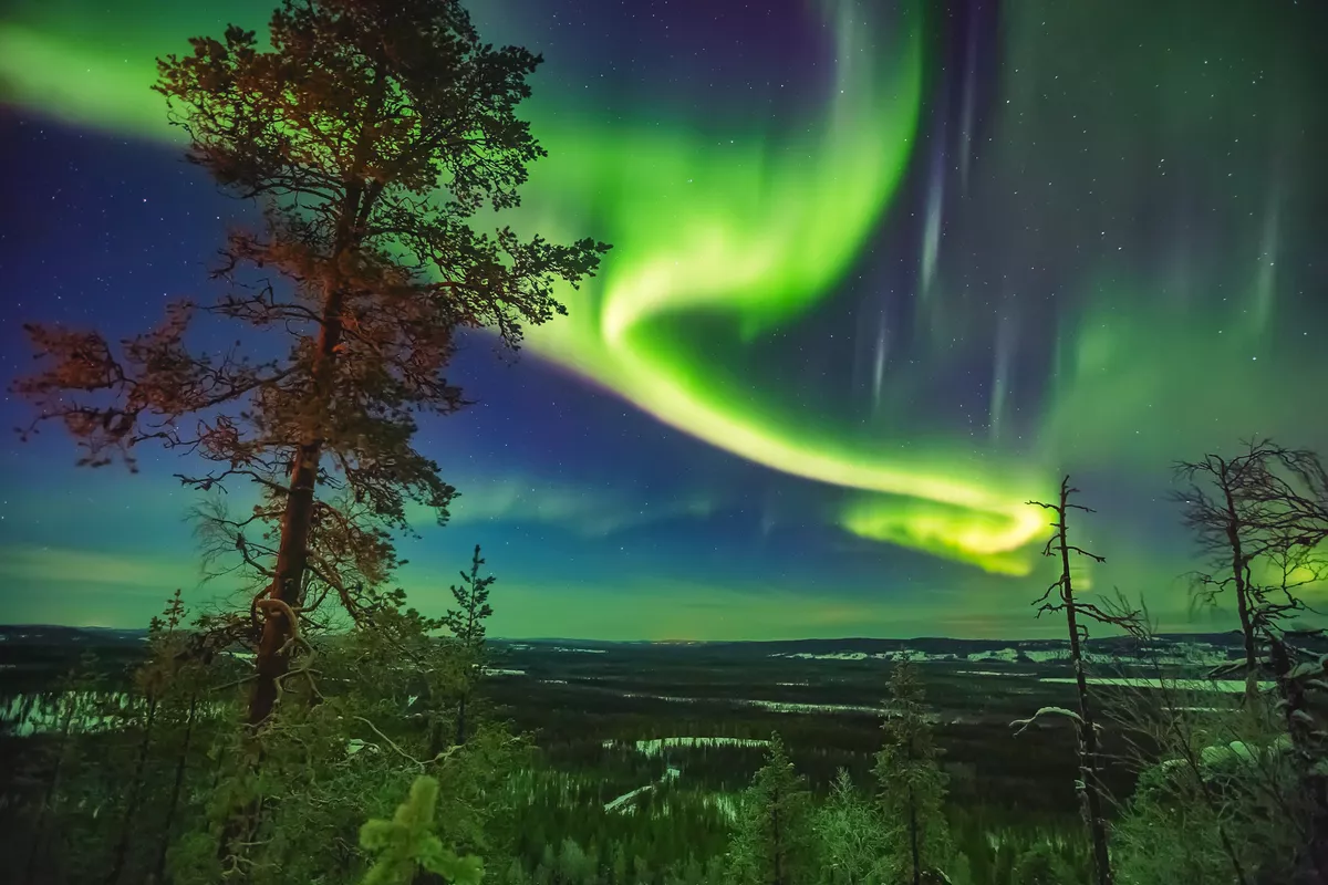 Polarlichter über Lappland - © widewingsstudio - stock.adobe.co