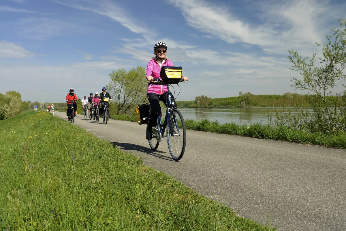 Donauradweg - ©                                                       