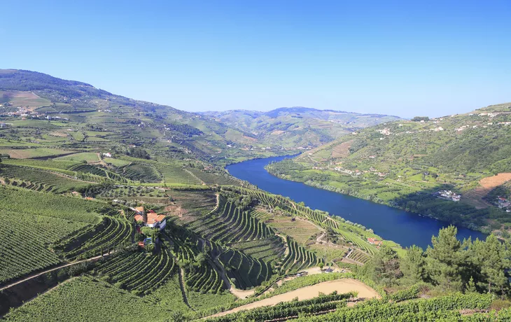 Weinberge im Dourotal - © Getty Images/iStockphoto